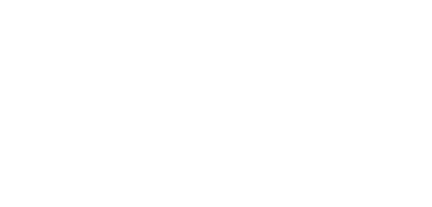 SKYPLUS